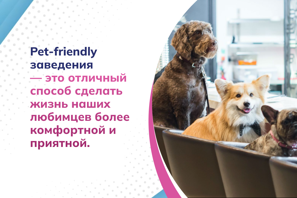 Не позволяйте запретам испортить идеальный ужин